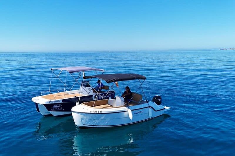 Location de bateau privé sans permis et observation des dauphins