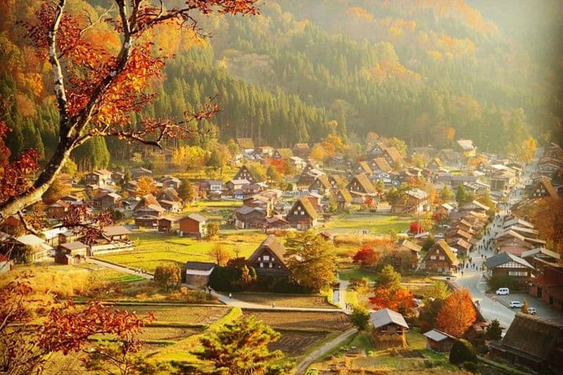 Visite en bus de Shirakawago et Takayama au départ de Nagoya avec déjeuner en option