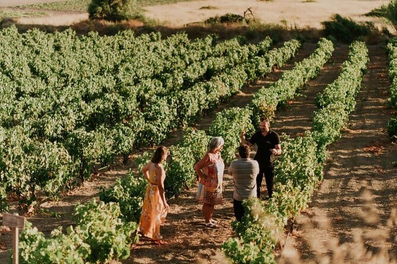 Kostantakis Winery - Visite de l'île de Milos et dégustation de vin