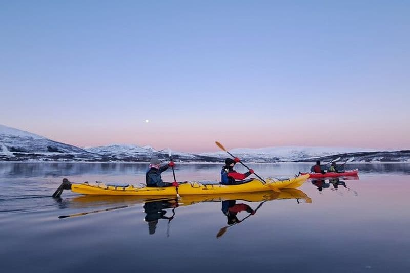 Tromsø : Excursion facile en kayak d'hiver avec observation des phoques