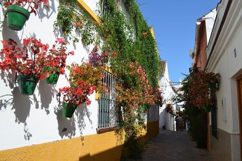 Visite à pied historique d'Estepona