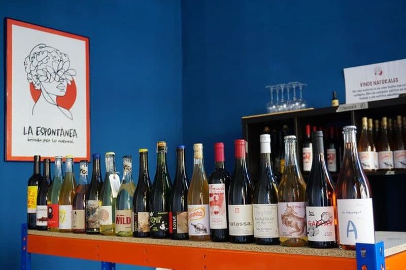 Dégustation de vins naturels et biologiques en petit groupe près de Sitges
