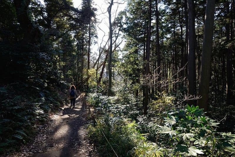 Randonnée d'une journée à Kamakura avec un guide agréé par le gouvernement