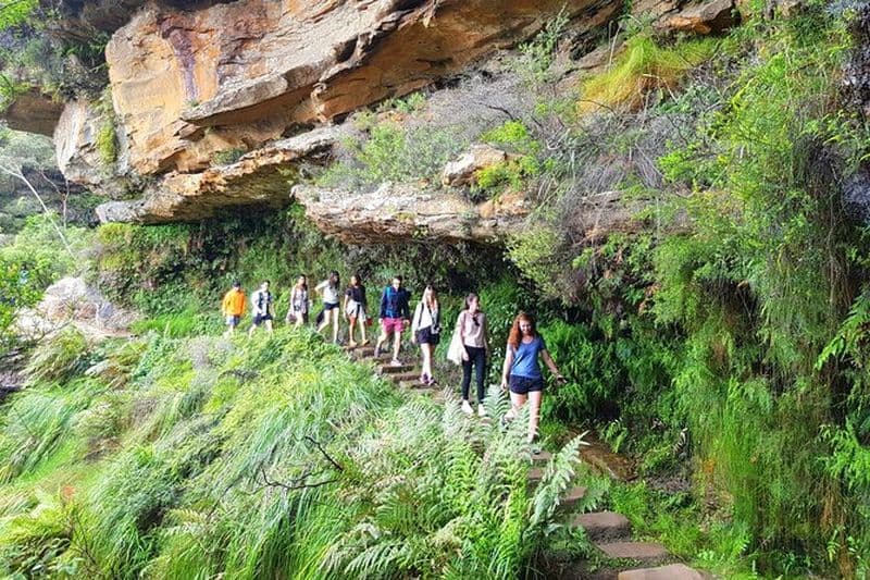 Billet Excursion en petit groupe à Blue Mountains avec promenade en cascade et déjeuner frais