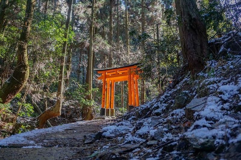 Kyoto : Randonnée cachée Fushimi Inari (privée)