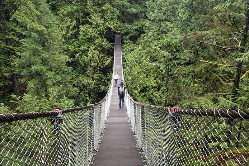Photographie dans Rainforest & Suspension Bridge