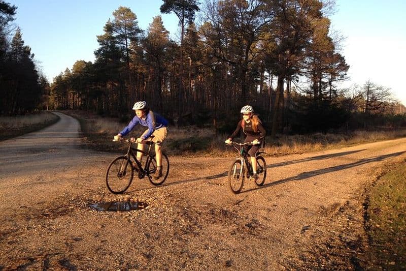 Promenades à vélo au coucher du soleil dans la New Forest