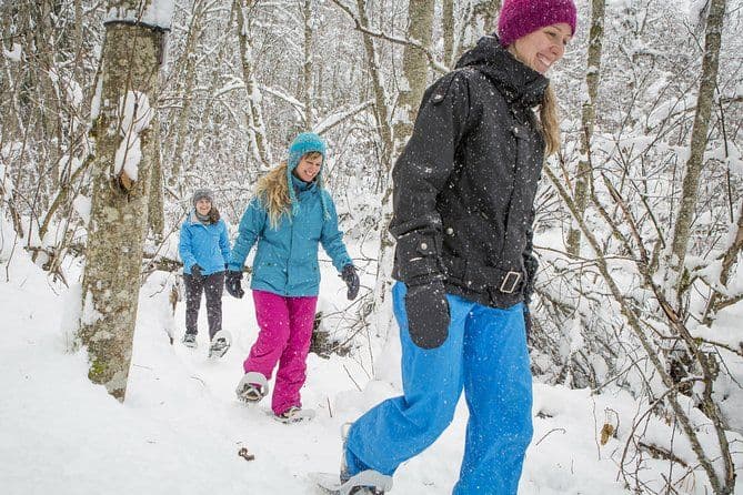 Randonnée en raquettes dans le parc national de la Jacques-Cartier
