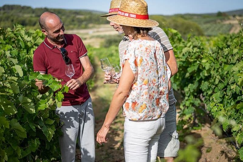 Visite privée d'une demi-journée des vins du Languedoc au départ de Sète