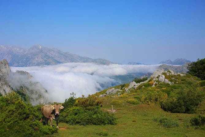 Excursion privée d'une journée en 4x4 de Bilbao aux Picos de Europa. Bons repas.
