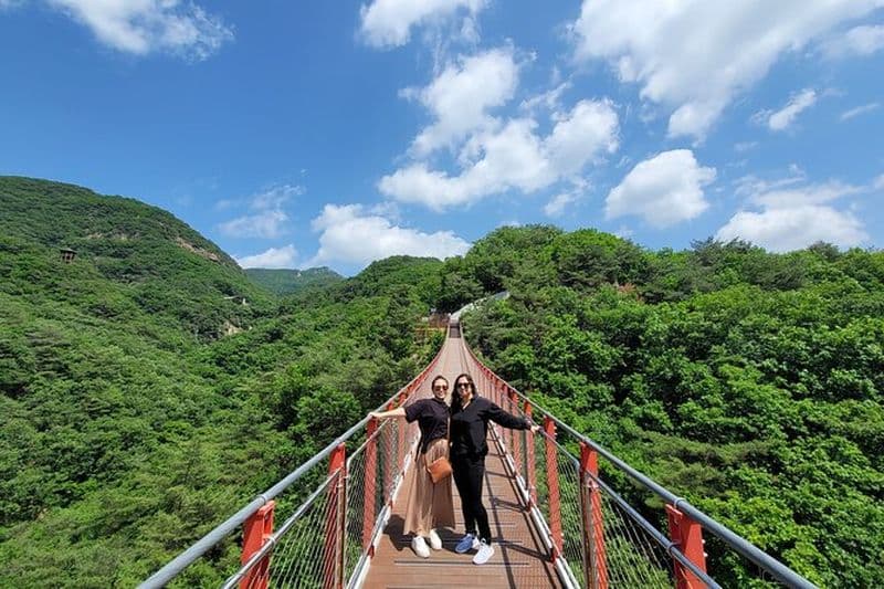 Insightful DMZ Tour by Expert opt. Pont suspendu avec pick-up