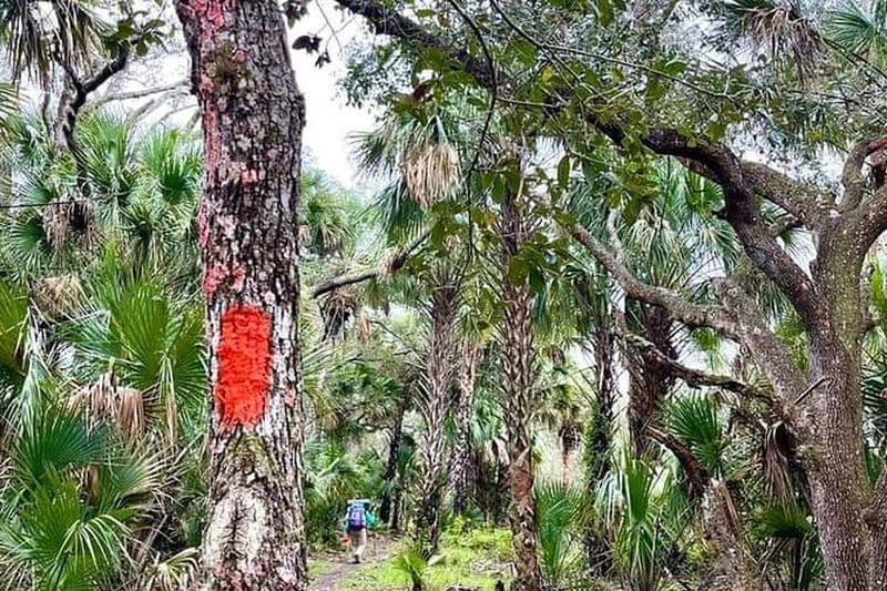 Randonnée guidée d'une journée dans l'arrière-pays sauvage de la Floride.
