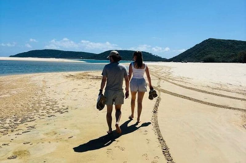 Aventure de plage et de promenade en 4x4 (demi-journée)