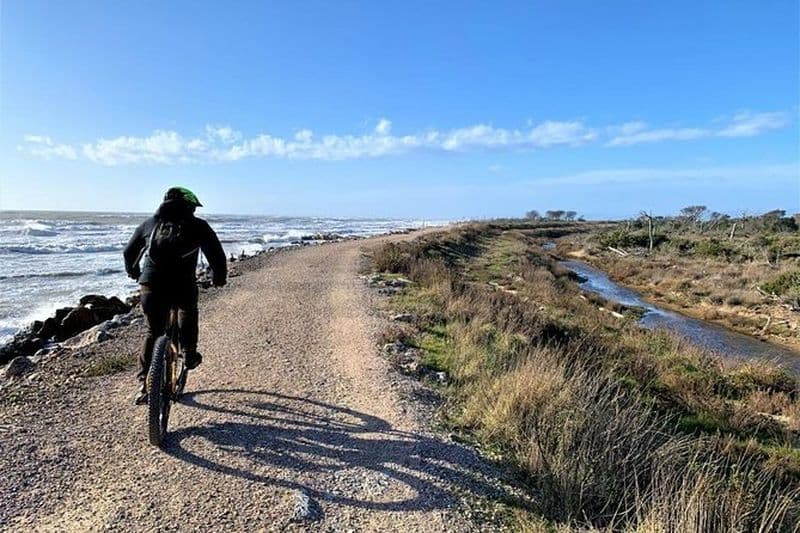 Visite en vélo électrique du parc naturel de la Maremme
