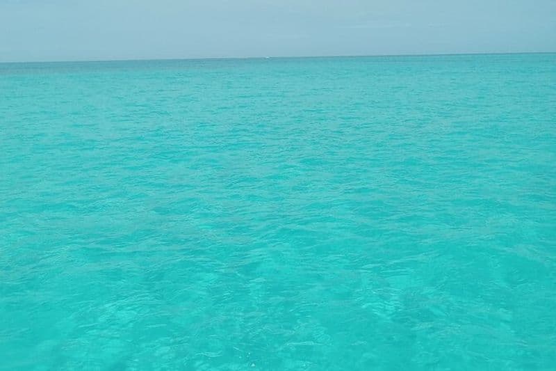 Plage privée en hors-bord et tournée des bars pour visiter l'île Rose