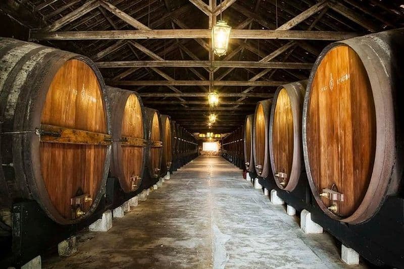 Nature, vins et carreaux de céramique : visite privée