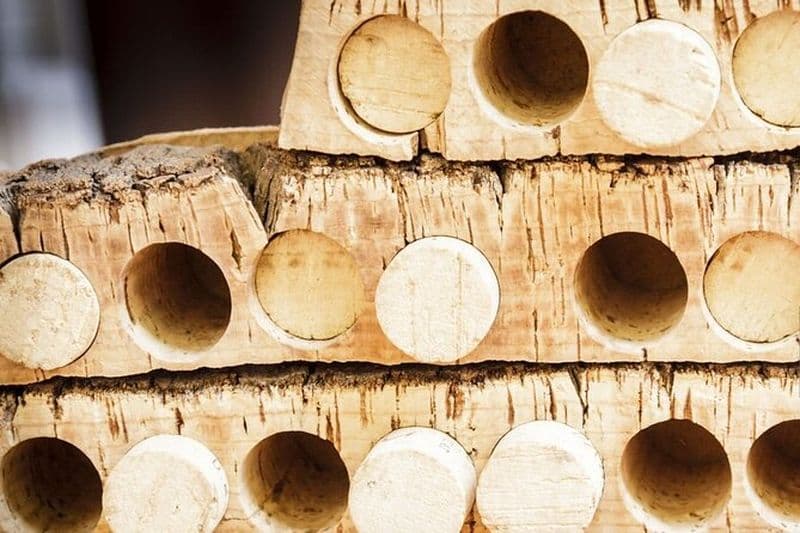 De Lisbonne: Une journée de dégustation de vin et de fabrication de liège à Évora