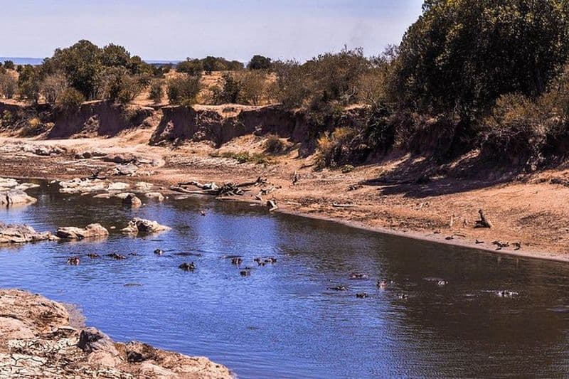 Croisière Kenya Safari de 9 jours avec DALA (personnalisable)