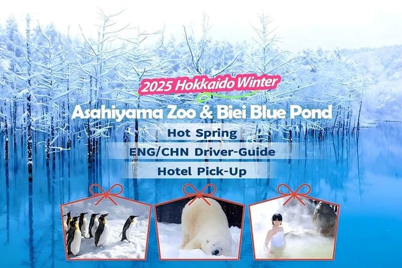 Sapporo : Asahiyama Zoo et Shirahige Falls Trip / w Hôtel Pick-up