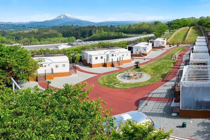 Voyage gourmand de 2 jours à Naka-Izu : Wasabi, Vin, Thé et Glamping