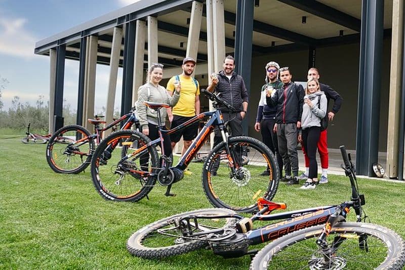 E Bike Tour avec dégustation de vin et d'huile d'olive à Vodnjan