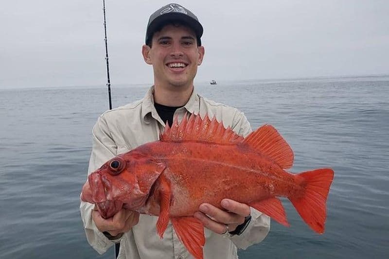 Excursion de pêche privée d'une demi-journée à San Diego pour jusqu'à 4 personnes