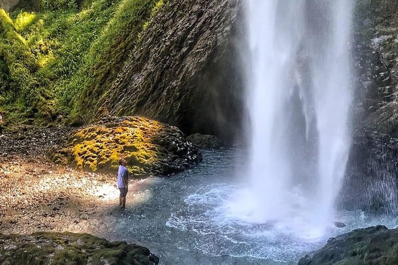 Excursion d'une demi-journée à Multnomah Falls et Columbia River Gorge