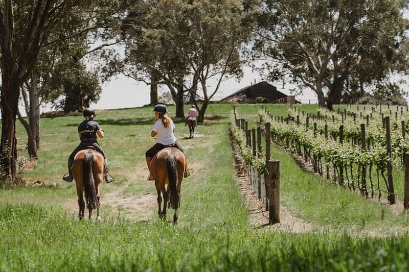 Balade romantique à cheval avec vin et nourriture à Adelaide Hills