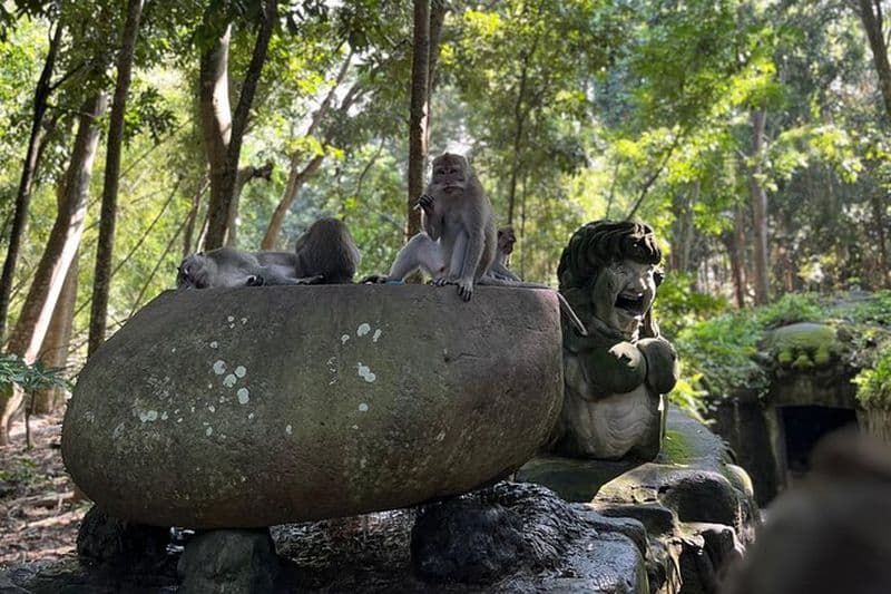 All Inclusive - Ubud Soul of Nature Tour