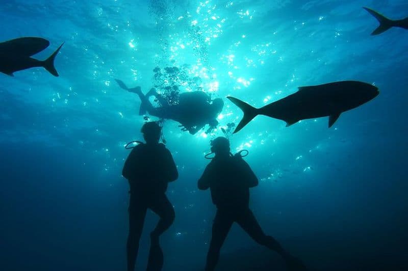 Plongée amusante au centre de plongée Amorgos