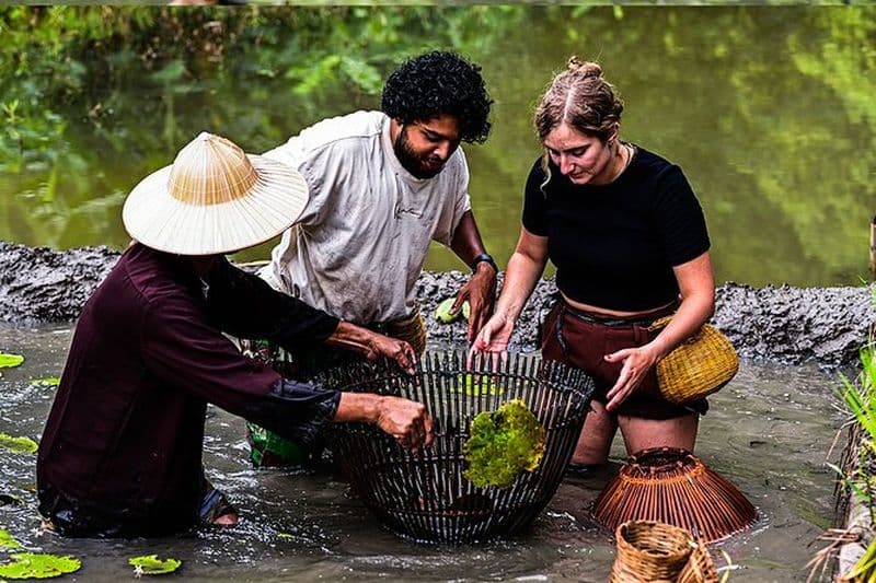 Activité de plantation de riz et de pêche au panier à Buffalo Cave
