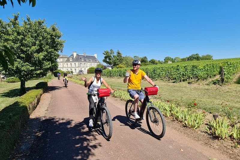 Visite privée à vélo d'Amboise E Clos Luce