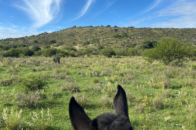 Expédition à cheval exclusive tout compris à Cordoue