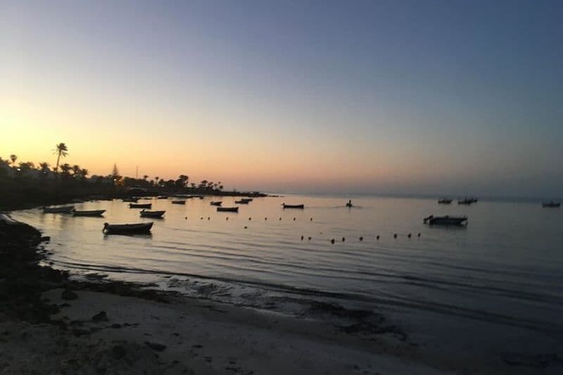 Balade à cheval au lever du soleil 3h