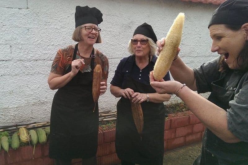 Excursion à Katakolon : cours de cuisine grecque privé