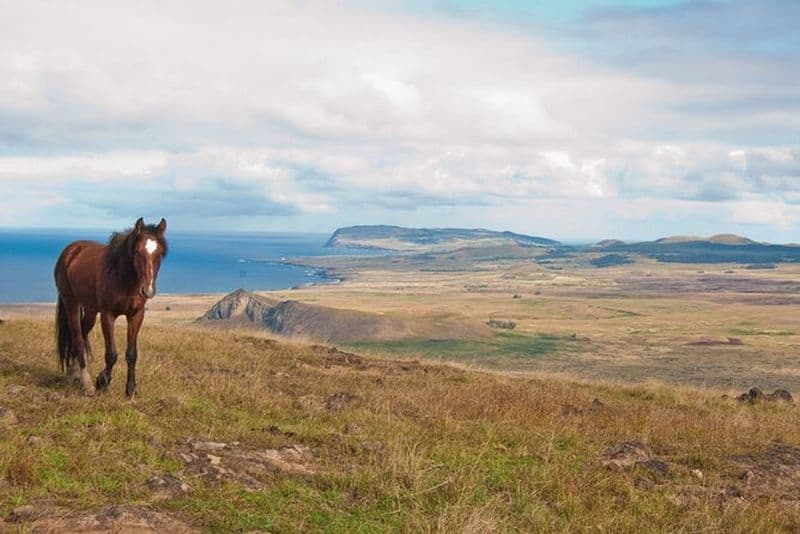 World's End: Randonnée privée sur l'île de Pâques au volcan éloigné Poike