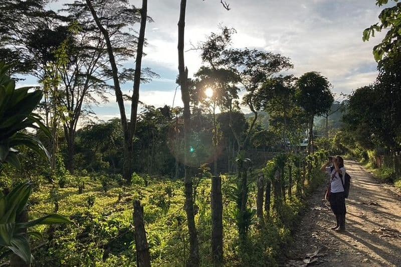 Observation des oiseaux et visite du café dans le Salento