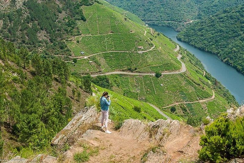 Ribeira Sacra, visite privée "Vins héroïques" au départ de Santiago/Vigo