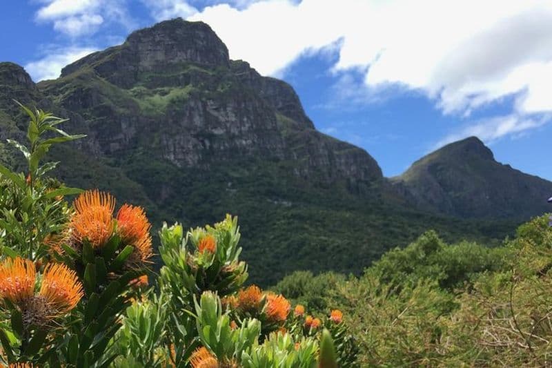 Jardins botaniques nationaux de Kirstenbosch : une visite audioguidée