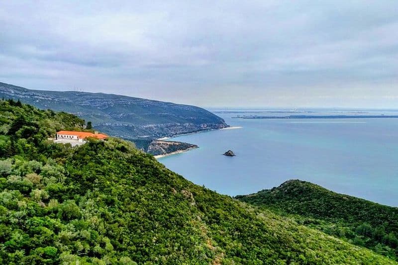 Marché de Setúbal, visite privée des carreaux et du vin de Lisbonne