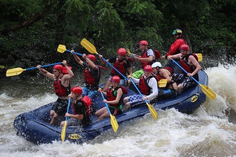 Expérience de rafting en eau vive sur la rivière Upper Pigeon