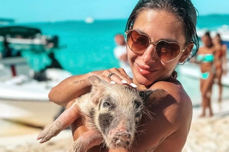 Excursion d'une journée Iguanas, requins et cochons de natation Visite privée (8hrs)