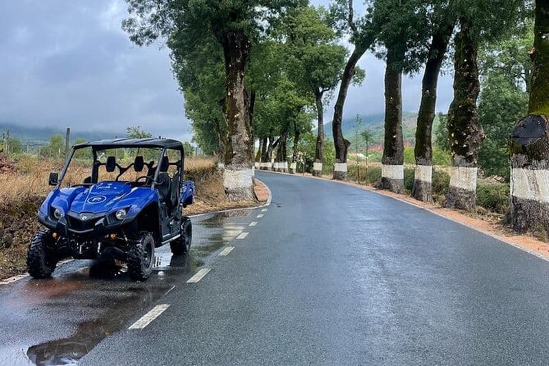 Excursions en Buggy et Moto 4 à Marvão