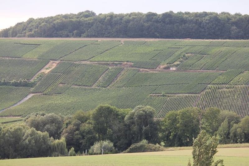 Visite de vignoble de champagne planifiée sur mesure de 2 jours avec chauffeur privé