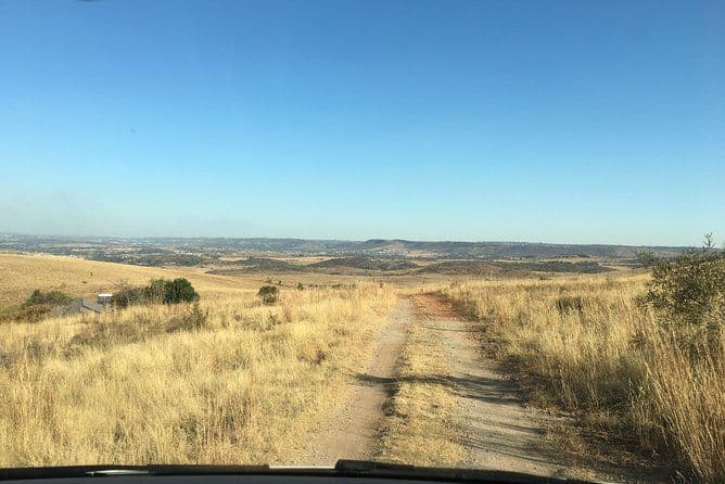 Transferts aéroport, porte à porte. Transferts privés