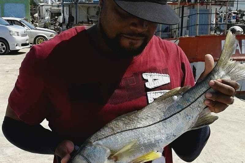 Activité de pêche guidée en roche et moulinet