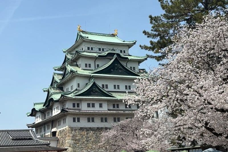 Visite à pied du château de Nagoya