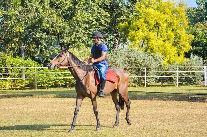 Équitation pour les professionnels de Habarana