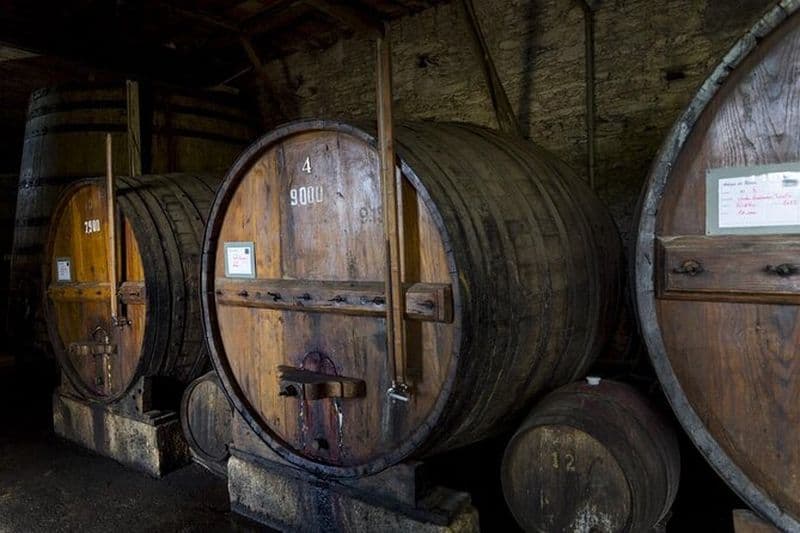 Excursion d'une journée complète dans le Douro avec dégustation de vin et déjeuner