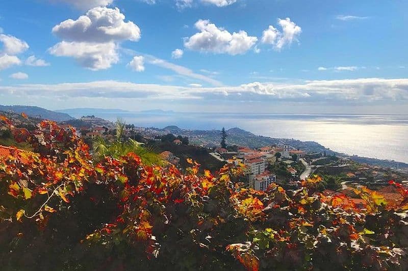 Levada do Norte - Visite à pied